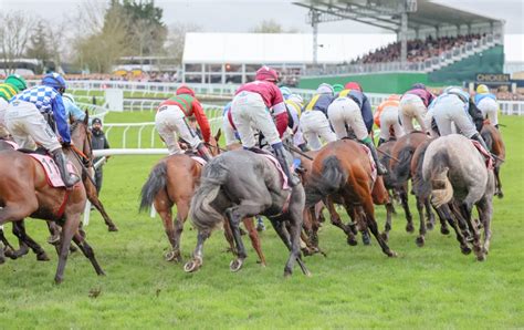 Best Bets & Tips for Cheltenham Horse Racing from Timeform.